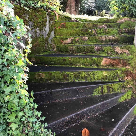 Meet your Posher, Penny - Picture 7 of 8